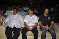 Srimannarayana Audio Release Photos